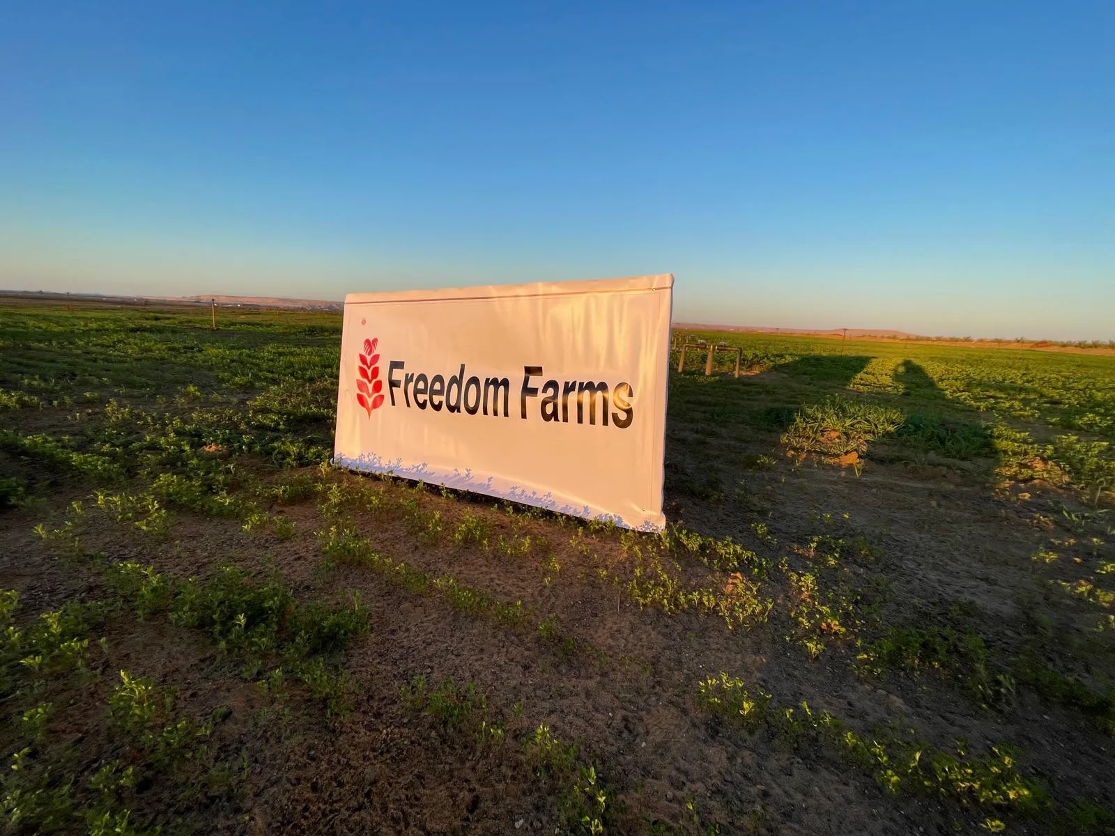 Freedom Farms