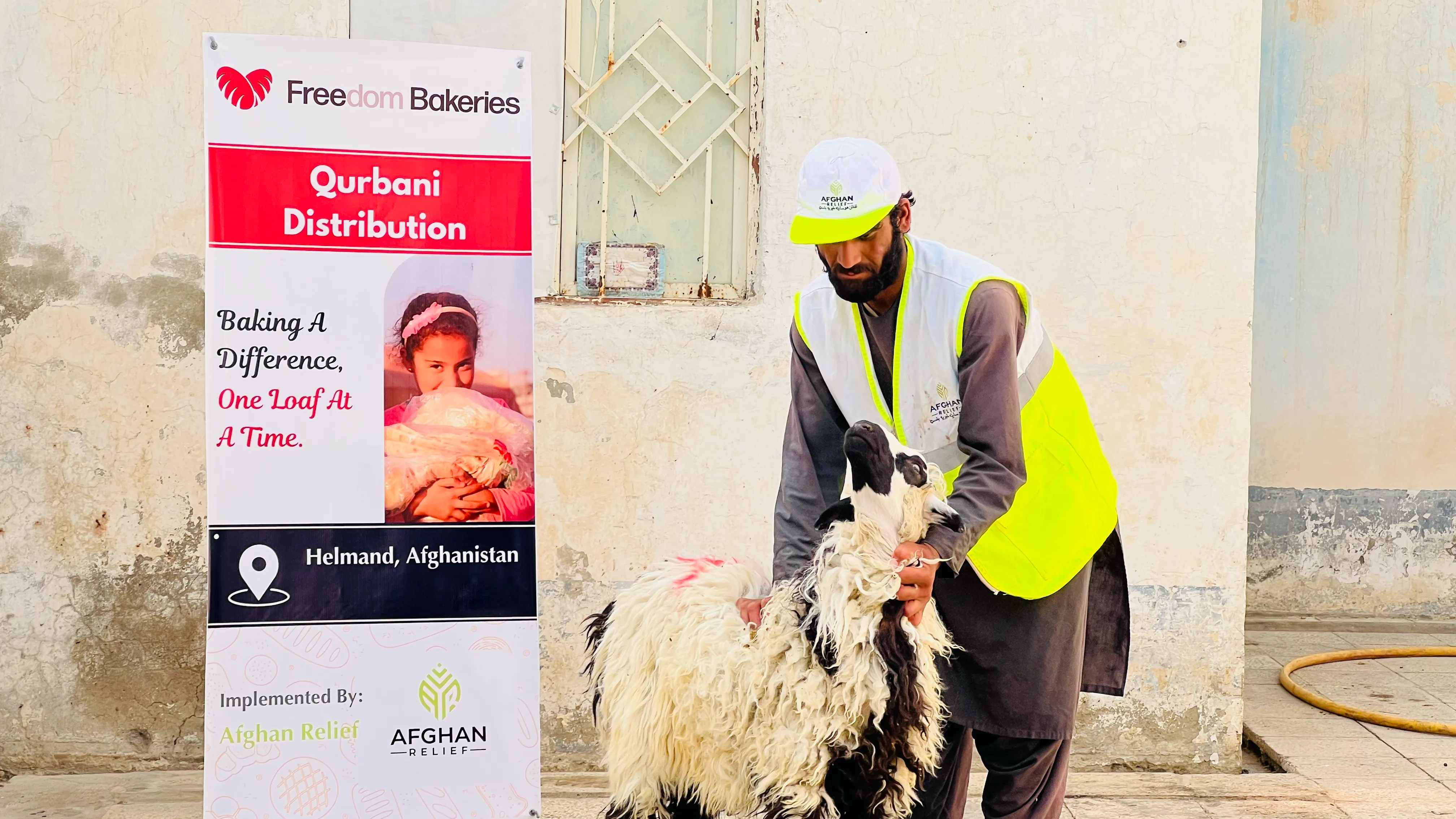 Worker preparing a sheep for Qurbani distribution